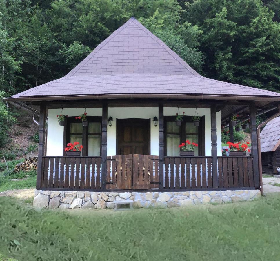 Casuta Din Valea Regilor Villa Gradistea de Munte Exterior foto