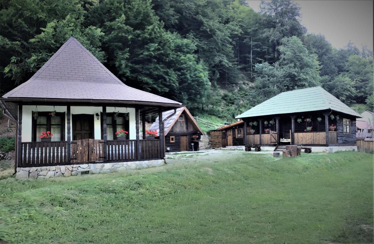 Casuta Din Valea Regilor Villa Gradistea de Munte Exterior foto