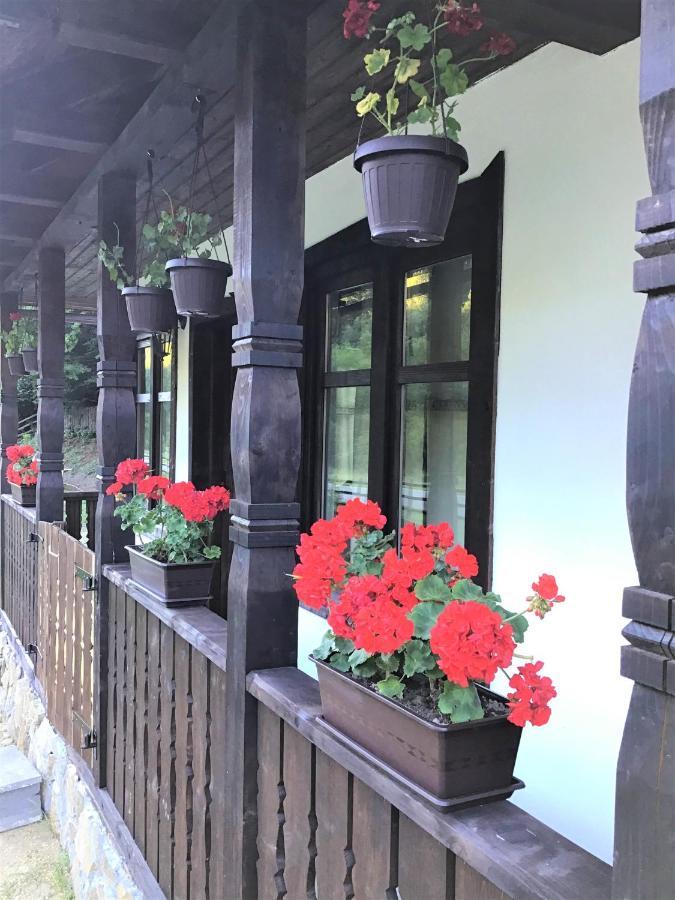 Casuta Din Valea Regilor Villa Gradistea de Munte Exterior foto