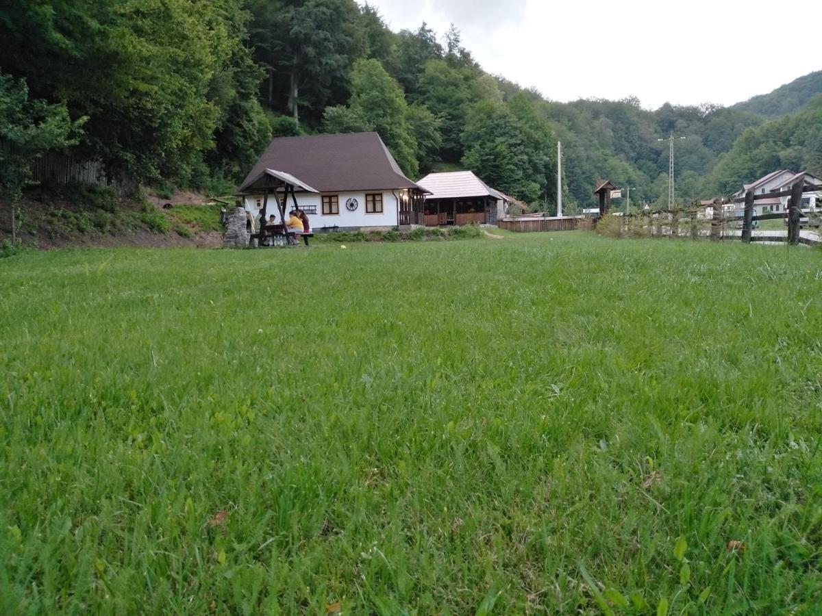 Casuta Din Valea Regilor Villa Gradistea de Munte Exterior foto