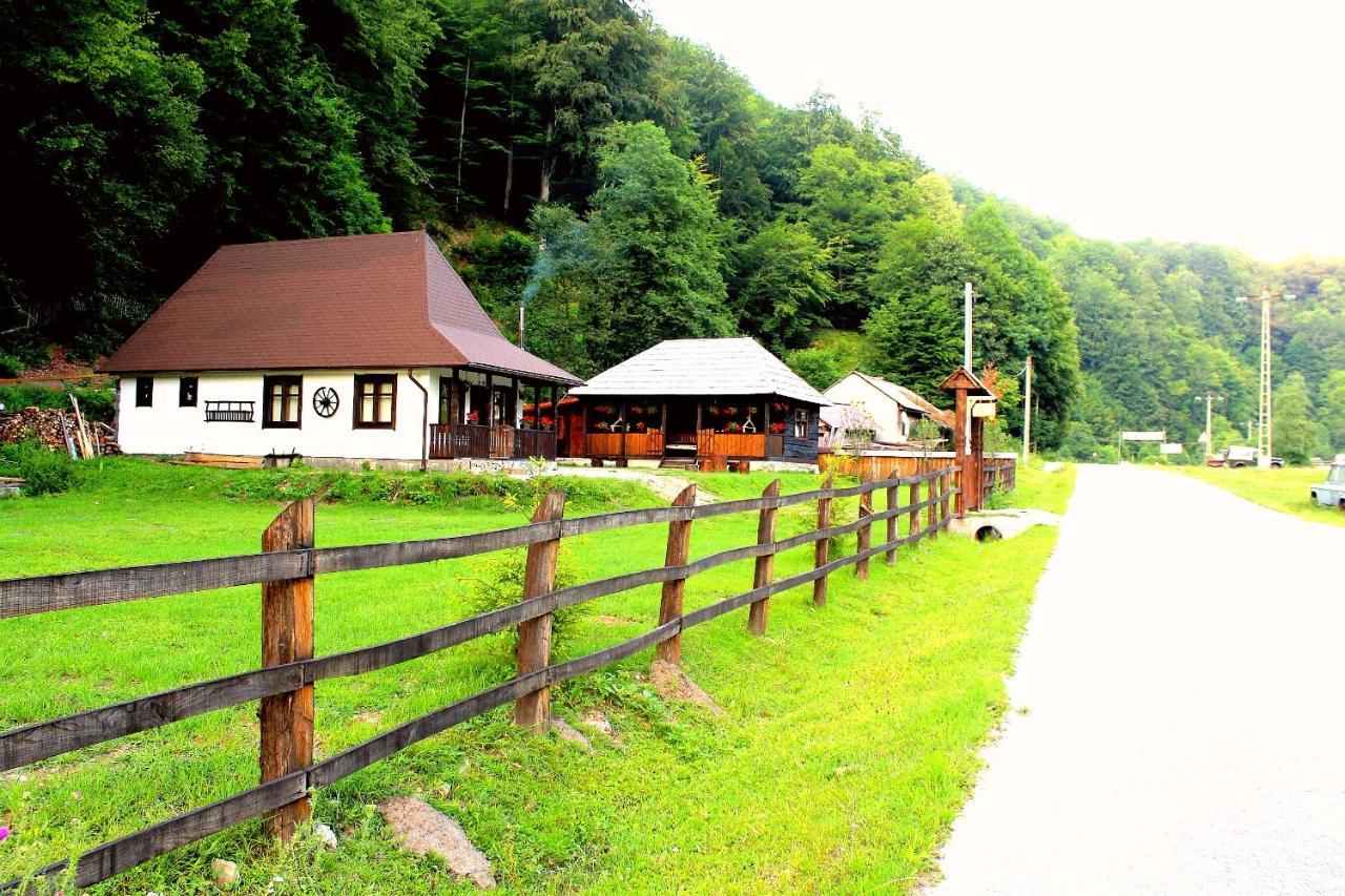 Casuta Din Valea Regilor Villa Gradistea de Munte Exterior foto