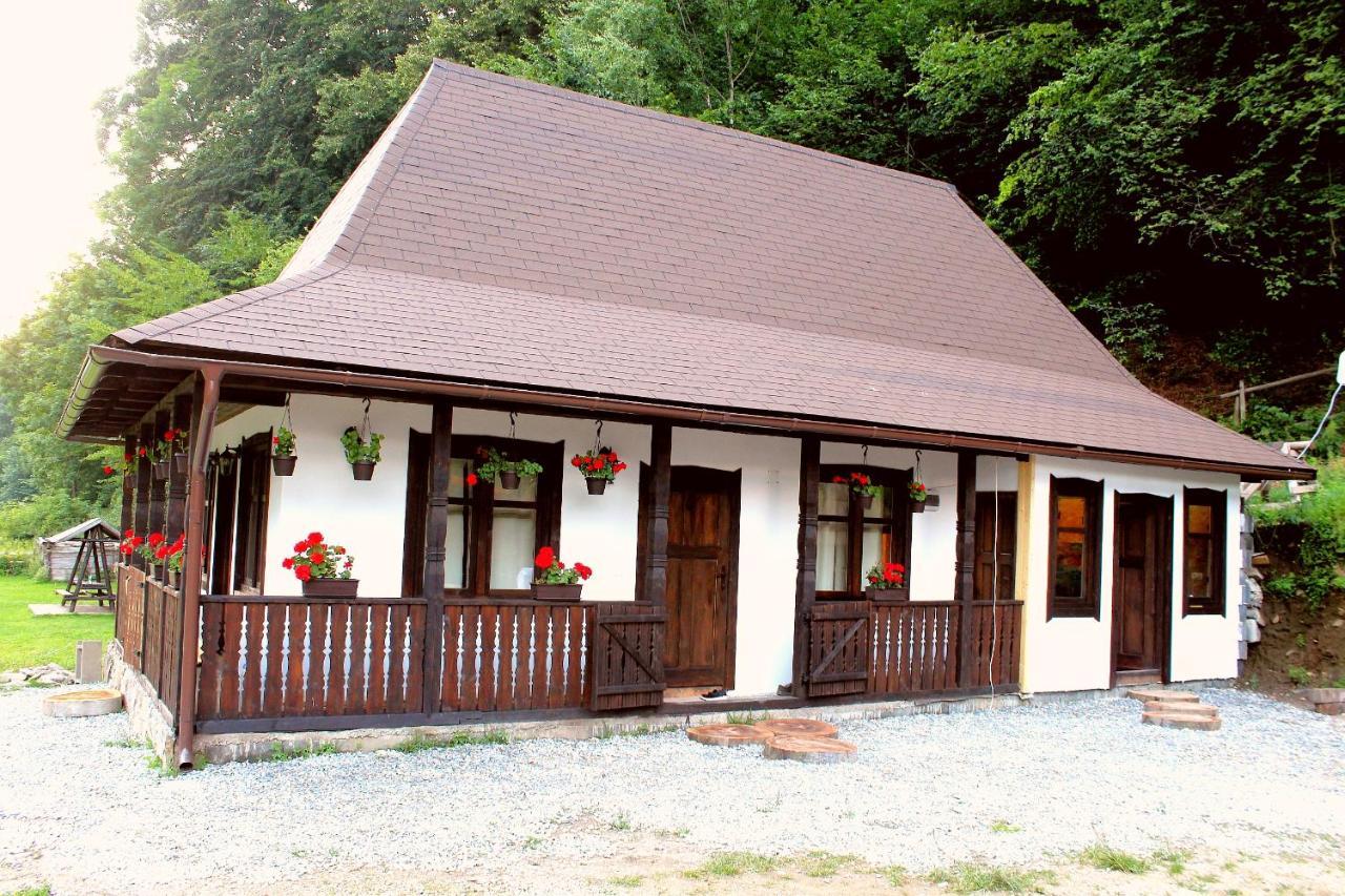 Casuta Din Valea Regilor Villa Gradistea de Munte Exterior foto