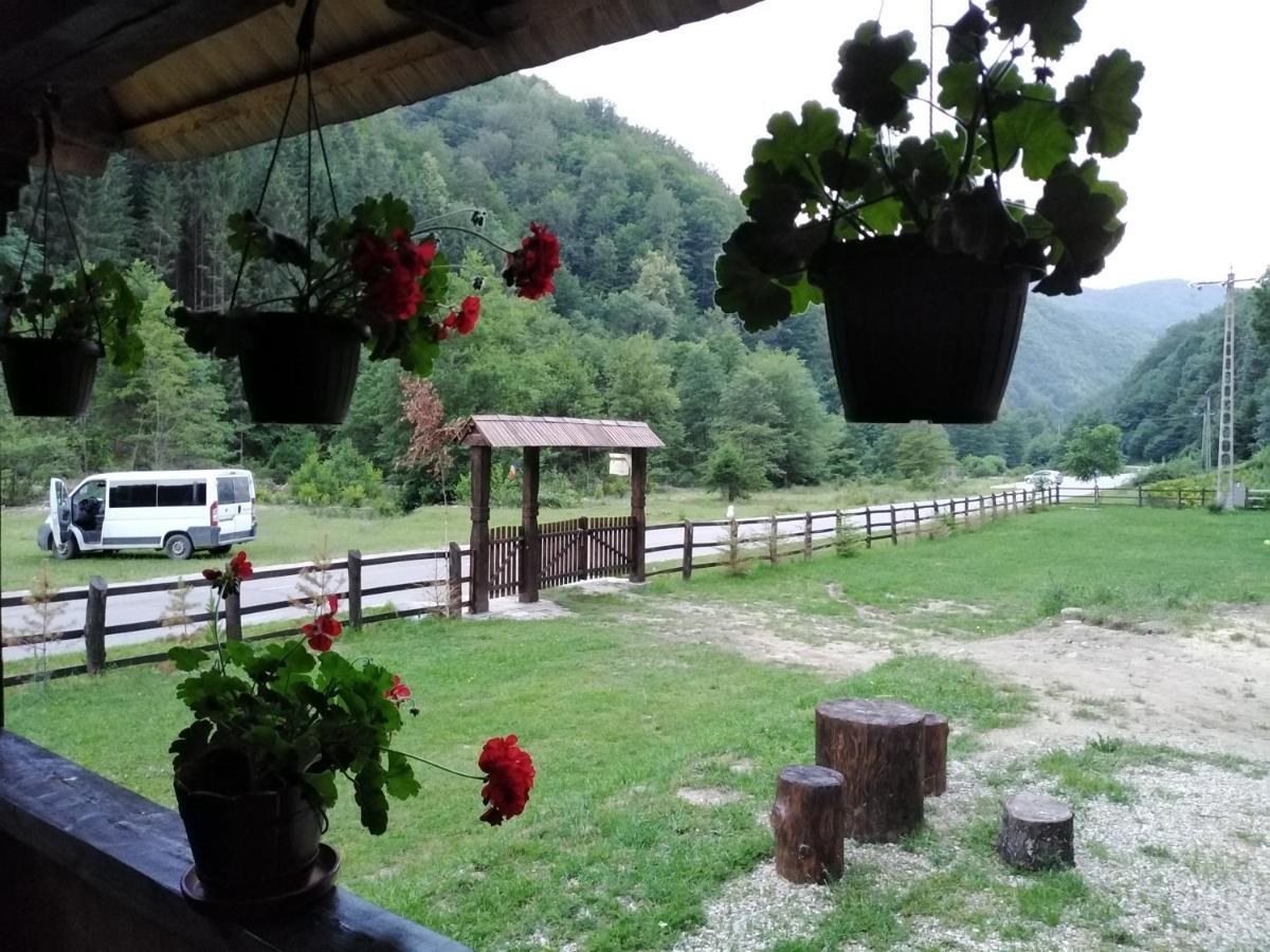 Casuta Din Valea Regilor Villa Gradistea de Munte Exterior foto