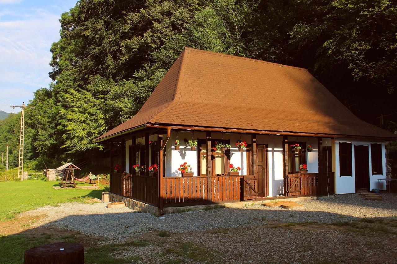 Casuta Din Valea Regilor Villa Gradistea de Munte Exterior foto